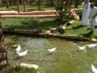 img_0890_small.jpg